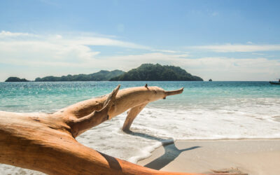 Montezuma in Costa Rica is an absolute paradise for nature lovers and hikers.