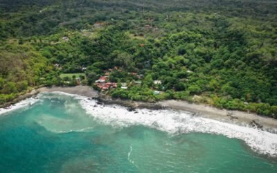 Why Green Season is the Best-Kept Secret for Visiting Montezuma